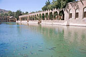 Urfa, Ayn i Zeliha, filled with sacred carps